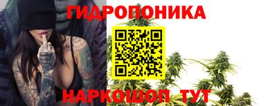 2c-b Северобайкальск
