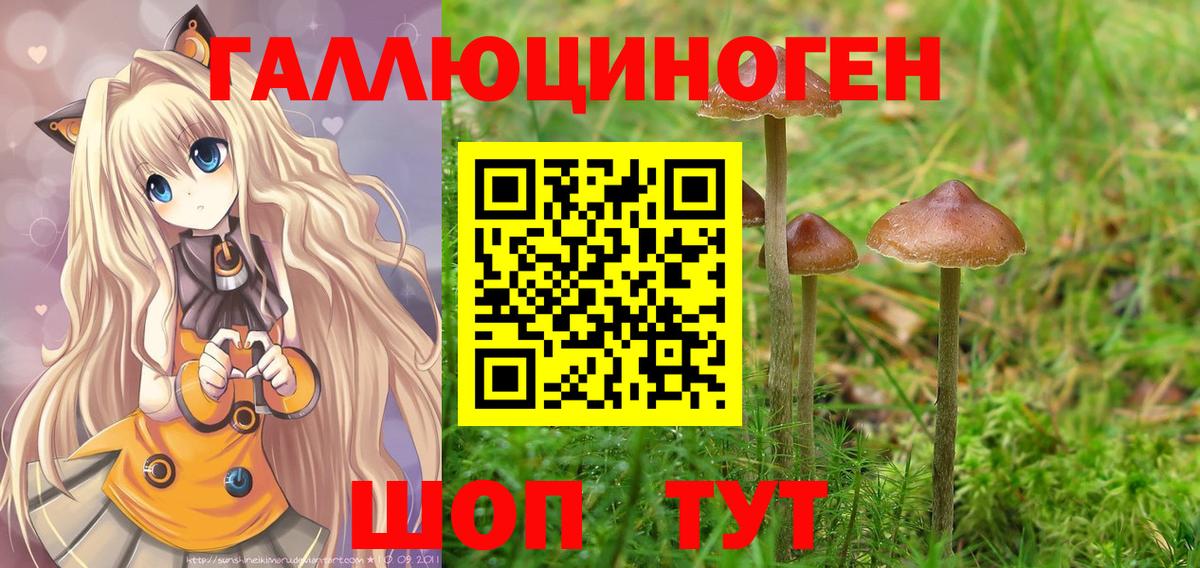 Псилоцибиновые грибы GOLDEN TEACHER  цены   Вход с VPN  Родники  Галлюциногенные грибы MAGIC MUSHROOMS 
