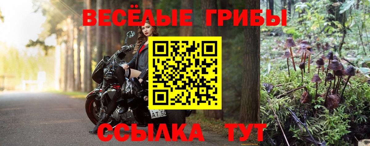 Псилоцибиновые грибы мицелий Родники